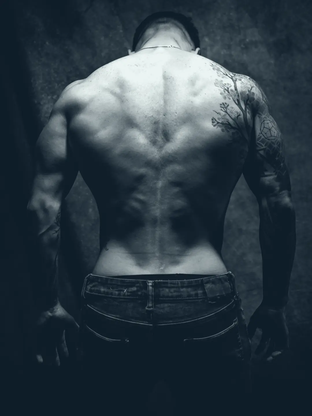 Muscular back in low light